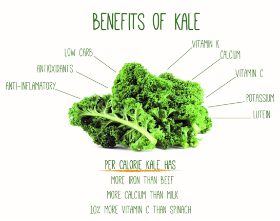 http://www.alkalinedietblog.com/wp-content/uploads/2014/09/Benefits-of-Kale.jpg